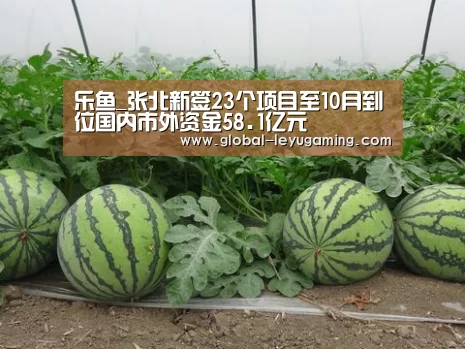 乐鱼体育