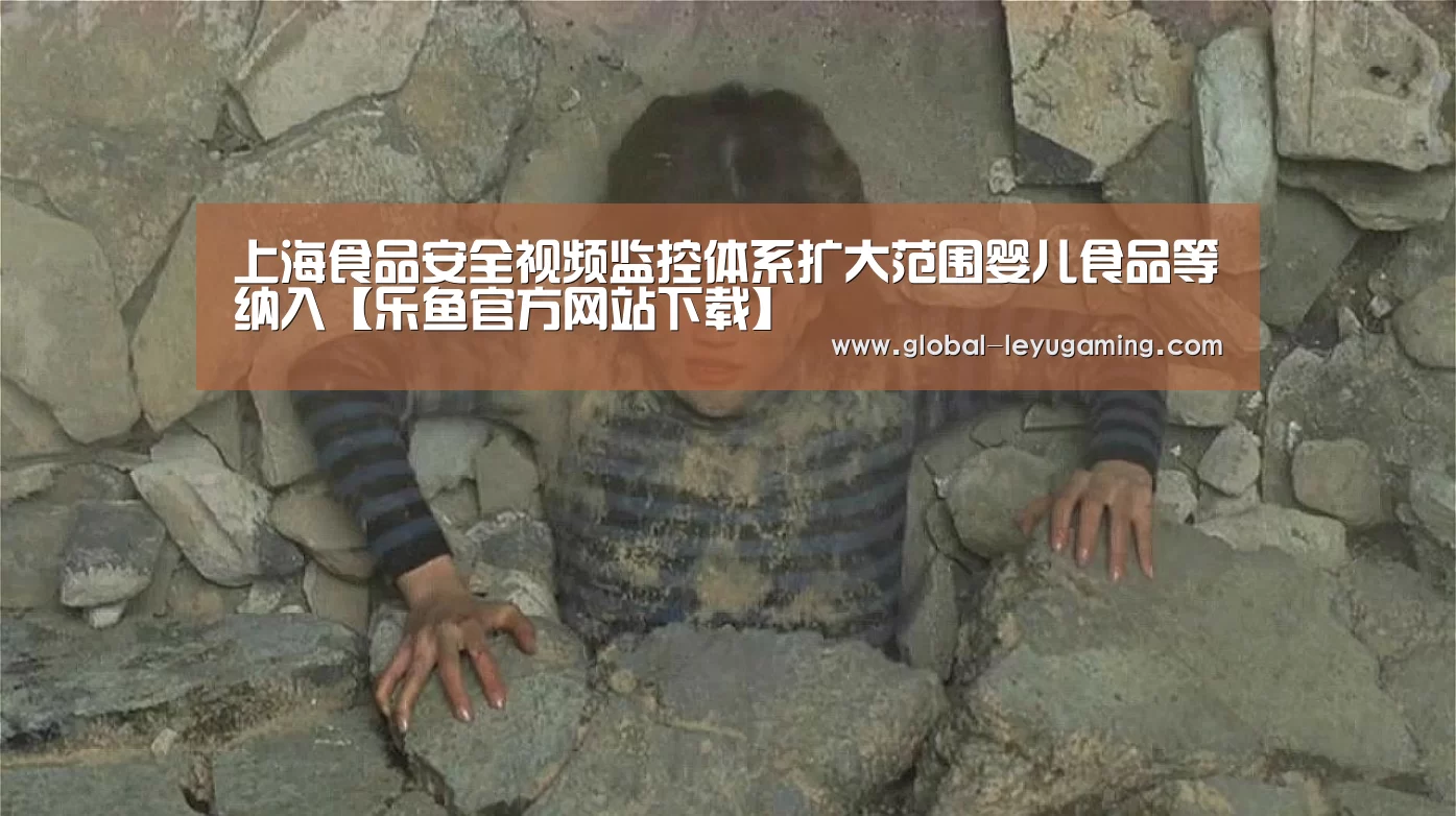 上海食品安全视频监控体系扩大范围婴儿食品等纳入【乐鱼官方网站下载】(图3) 乐鱼体育