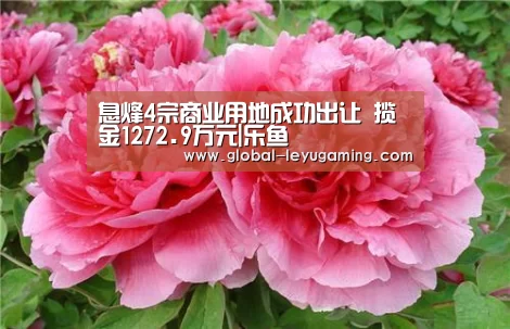 息烽4宗商业用地成功出让 揽金1272.9万元|乐鱼(图1) 息烽4宗商业用地成功出让 揽金1272.9万元|乐鱼(图1)