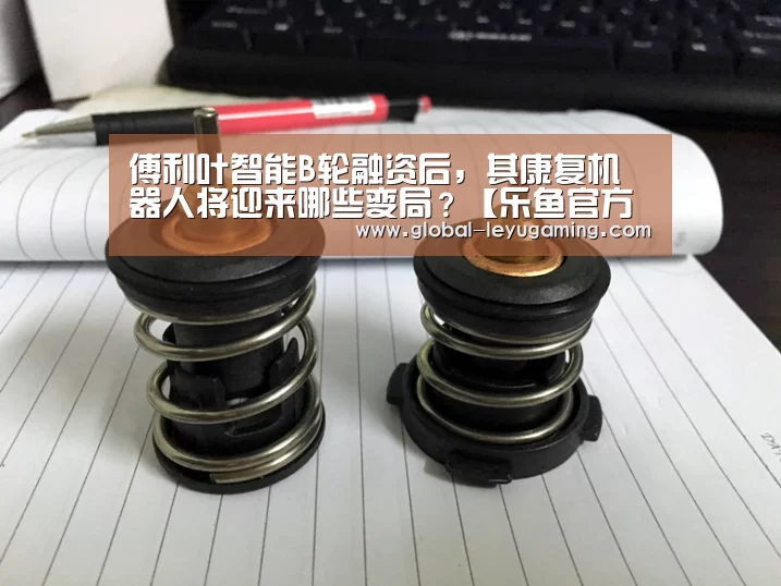 乐鱼