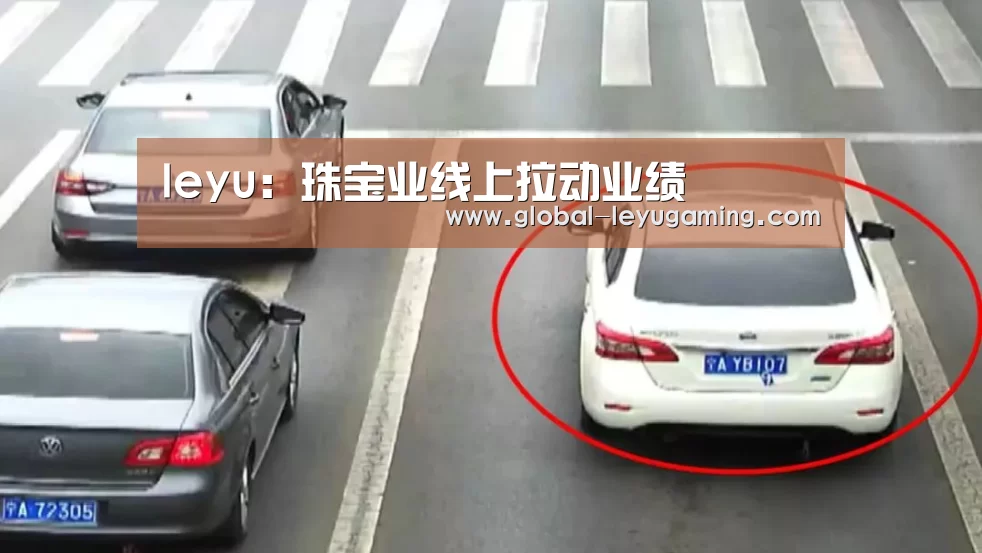 leyu：珠宝业线上拉动业绩(图1)