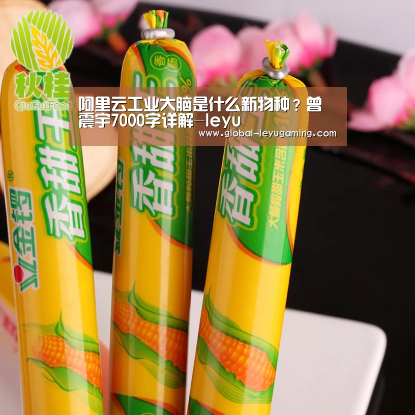 阿里云工业大脑是什么新物种?曾震宇7000字详解-leyu(图1) 乐鱼官方网站下载