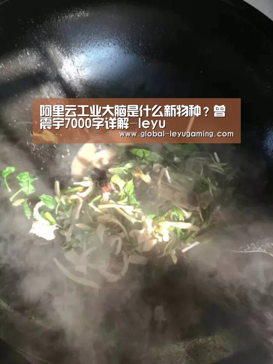 阿里云工业大脑是什么新物种?曾震宇7000字详解-leyu(图2) 乐鱼体育