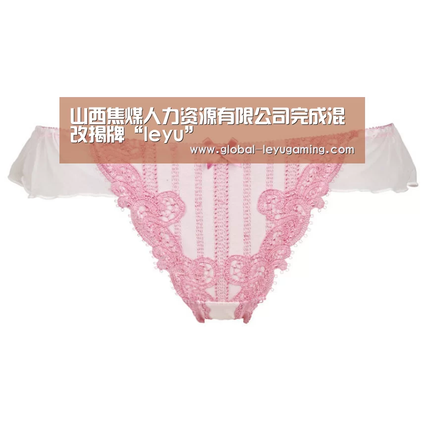 山西焦煤人力资源有限公司完成混改揭牌“leyu”(图1) 乐鱼体育