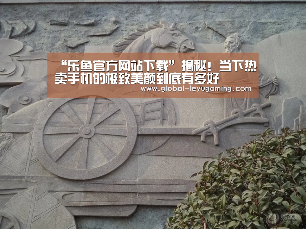 乐鱼