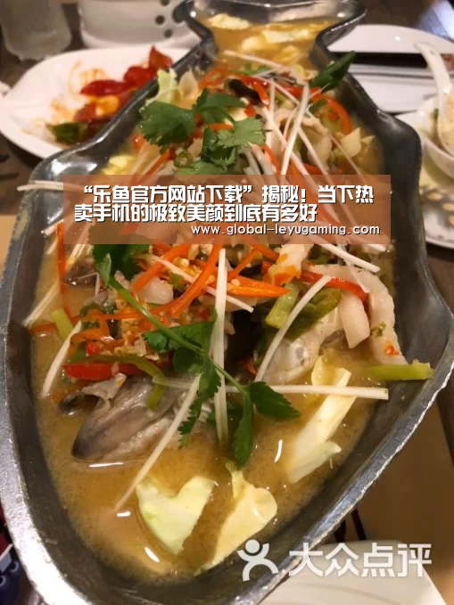 乐鱼官方网站下载