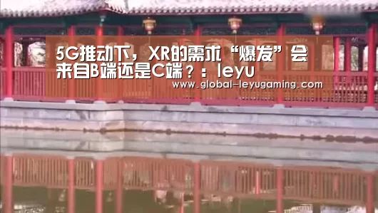 5G推动下，XR的需求“爆发”会来自B端还是C端？：leyu(图1)