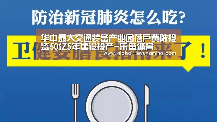 华中最大交通装备产业园落户黄陂投资50亿5年建设投产-乐鱼体育(图3) 乐鱼