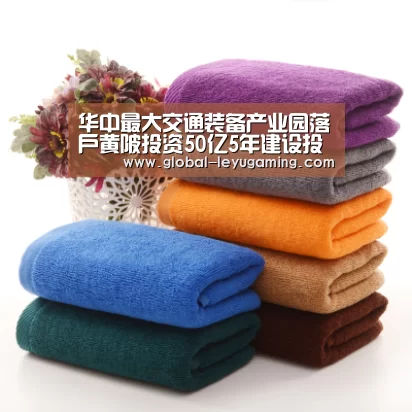 华中最大交通装备产业园落户黄陂投资50亿5年建设投产-乐鱼体育(图2) 乐鱼